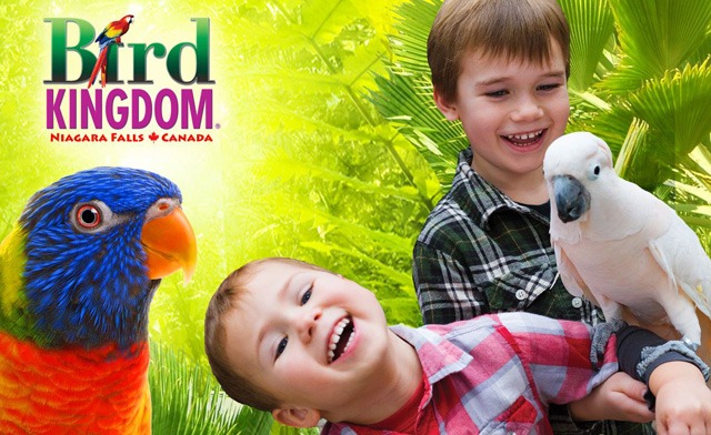 bird-kingdom-1991802-3540752-regular.jpg