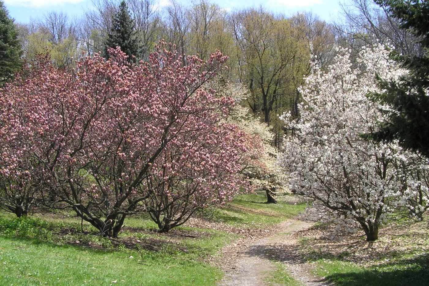 RBG-Arboretum.jpg